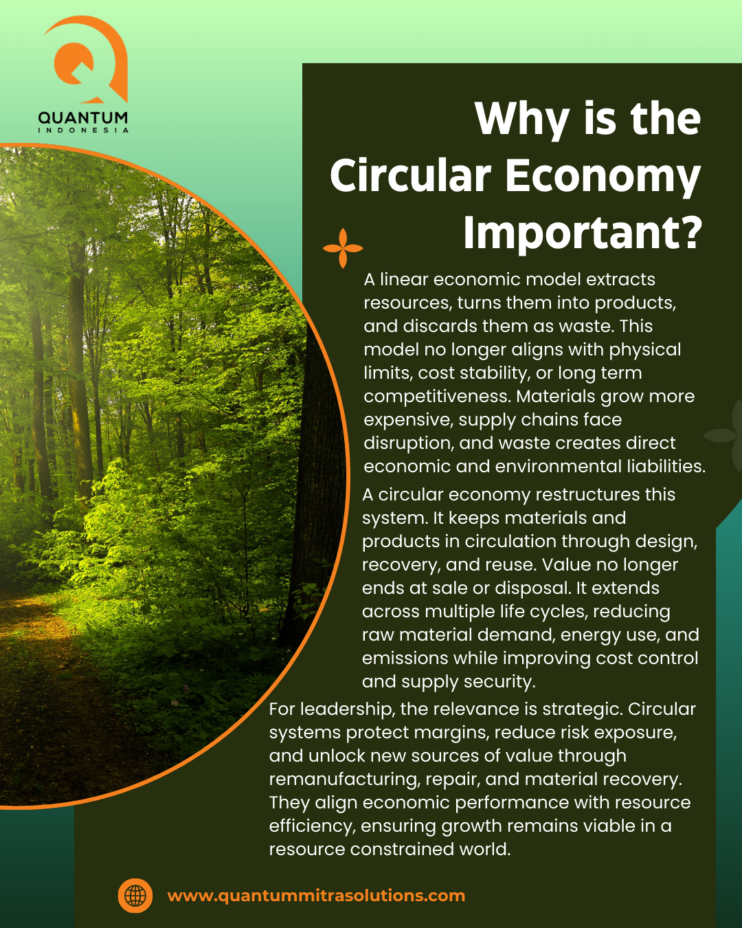Copy of Blue Minimalist Circular Economy Presentation